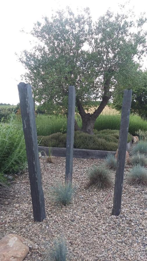 Domaine 3 Soleils Bed & Breakfast Labastide-de-Levis Bagian luar foto