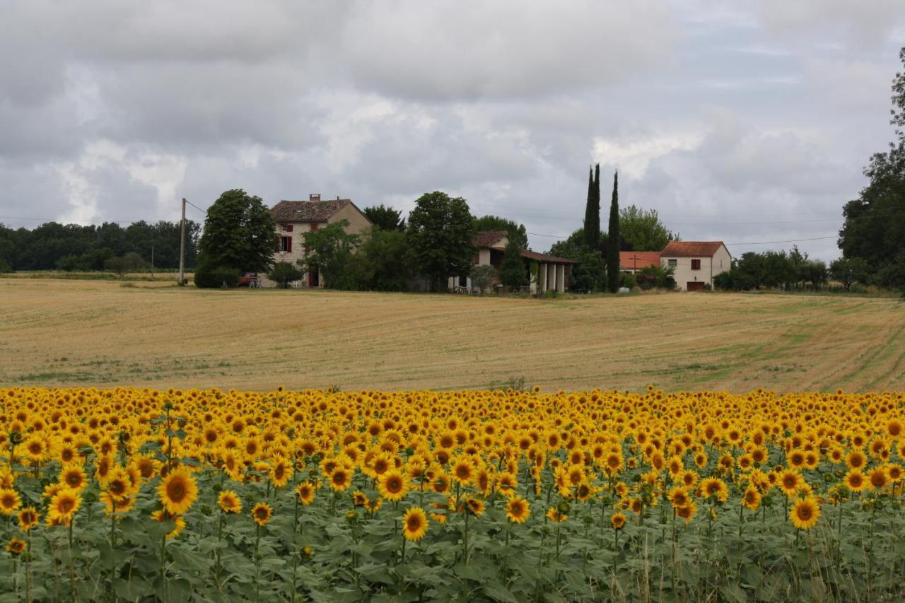 Domaine 3 Soleils Bed & Breakfast Labastide-de-Levis Bagian luar foto